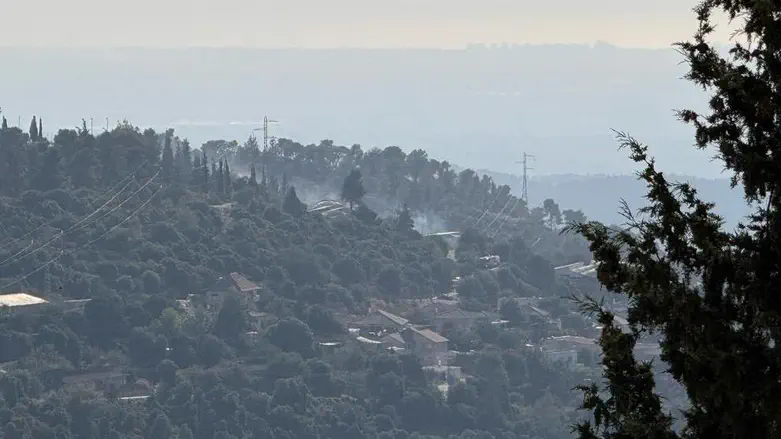 TPS Wildfire near Beit Shemesh under control