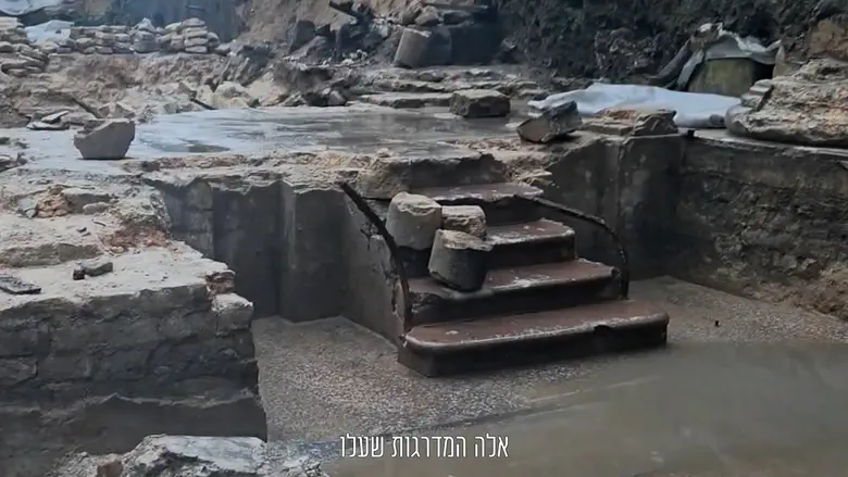 צילום: Бима Большой синагоги Вильнюса полностью раскрыта