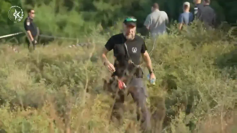 צילום: דוברות המשטרה במהלך החיפושים: אותרה גופה