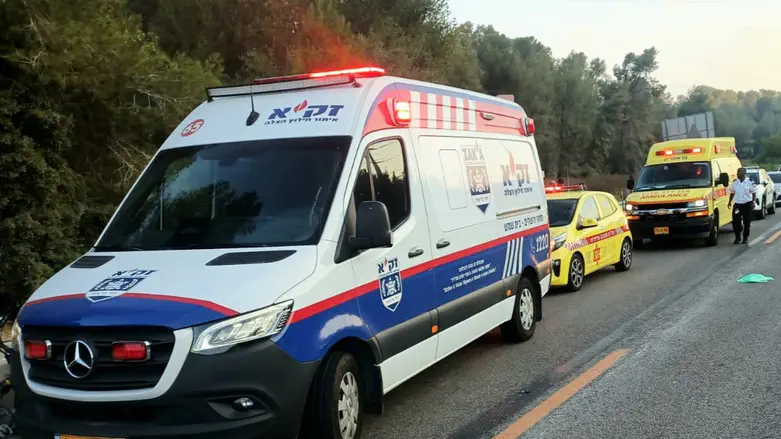 עשרה בני אדם נהרגו בתוך שבוע בתאונות דרכים ברחבי הארץ