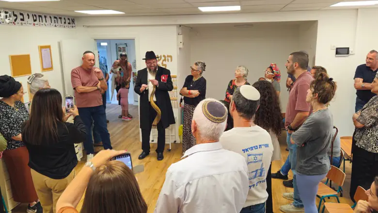 אחרי 40 שנה: גן חמ"ד בכפר ורדים