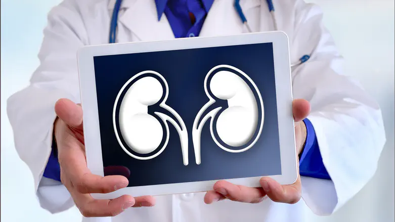 Sometimes a perfect body has only one kidney