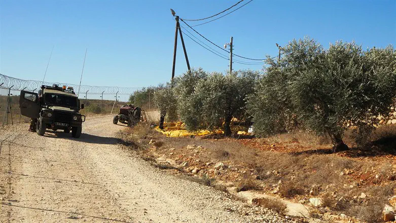 Binyamin Council challenges claims of violence against journalist