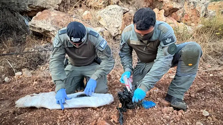 Israel’s hesitation in Judea and Samaria undermines security