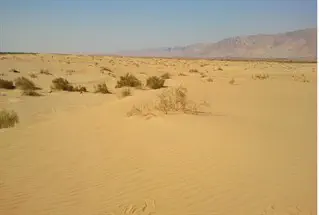 פנייה לבנצי ליברמן: הצל את חולות סמר