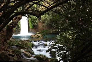 פלאש 90 20 שנה ואף לא נחל אחד מטוהר במלואו