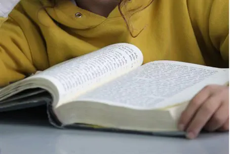 Россия: Антисемитская книга - это экстремизм