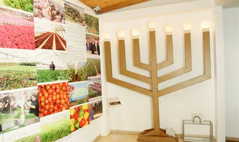 תרבות ופנאי - בזמנכם החופשי