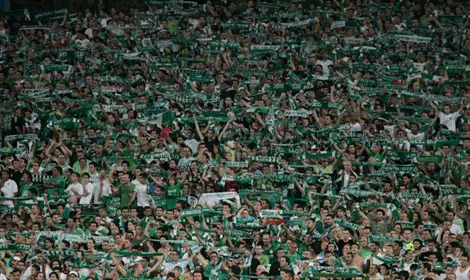 פלאש 90 מכבי חיפה ממשיכה להתדרדר