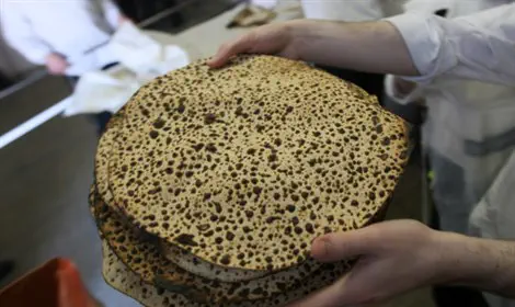 פלאש 90 חמץ ומצה בזוגיות...