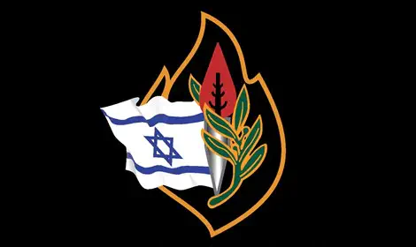 דוד שרגאי עיצב את דגל יזכור החדש