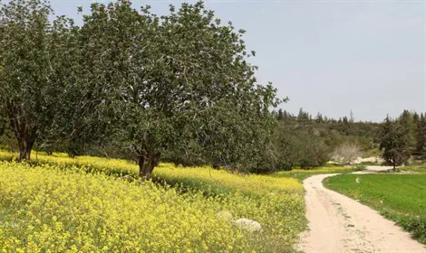 אחרי מות - לבחור את הדרך