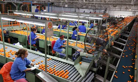 עובדים הרבה, מייצרים מעט