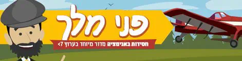 פני_מלך