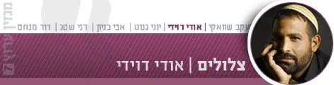 צלולים_אודי_דוידי