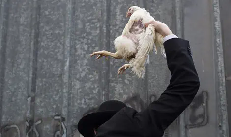 תנו לחיים לחיות - דעה