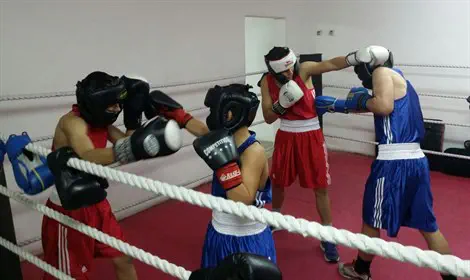 צילום: מרדכי גלבוע הילדים וויתרו על גמר האגרוף - בשל קדושת השבת