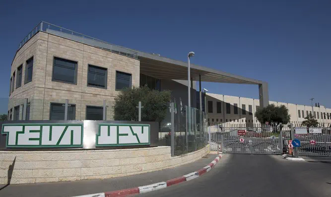 צילום: יונתן סינדל, פלאש 90 קיצוצים בטבע