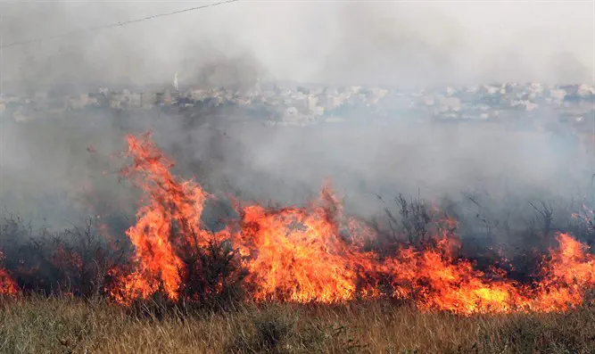 www.israelnationalnews.com