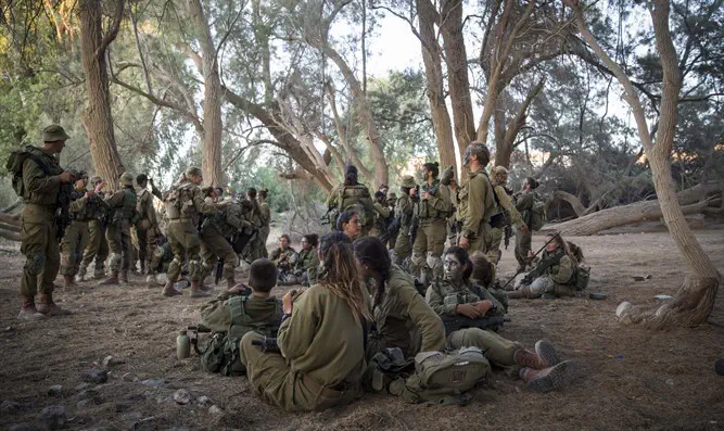 נשים לוחמות בצה"ל - כל המספרים