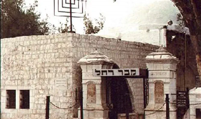 Don't miss this special opportunity!              