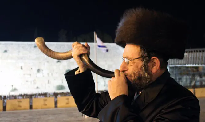 Standing Upright to Receive a New Light