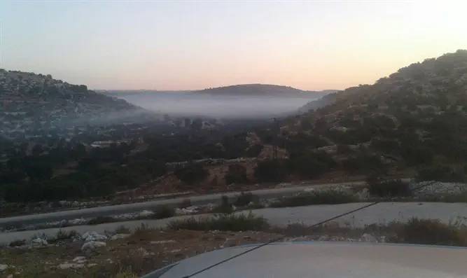 "עשן המפחמות - טרור סביבתי"