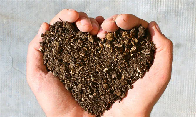 צילום: שאטרסטוק אם הרצון לא התממש- כנראה שלא בחרתי