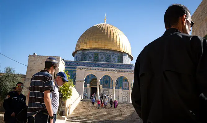 "הצדיק הופך לקרבן והתוקף - למנצח"