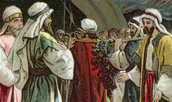 Please meet the ten spies