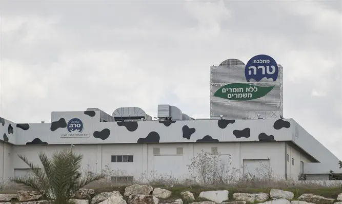 צילום: Nati Shohat/Flash90 טלטלת הכשרות שמסעירה את הרחוב החרדי