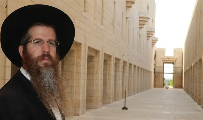 גם לרוב מגיעות זכויות