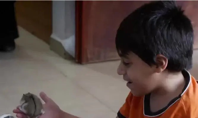 נלחם על החיים           