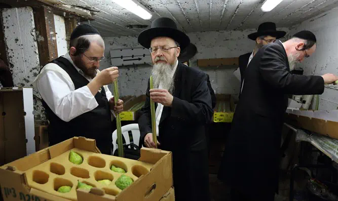Yaakov Naumi/Flash 90 Updates Continue from North America