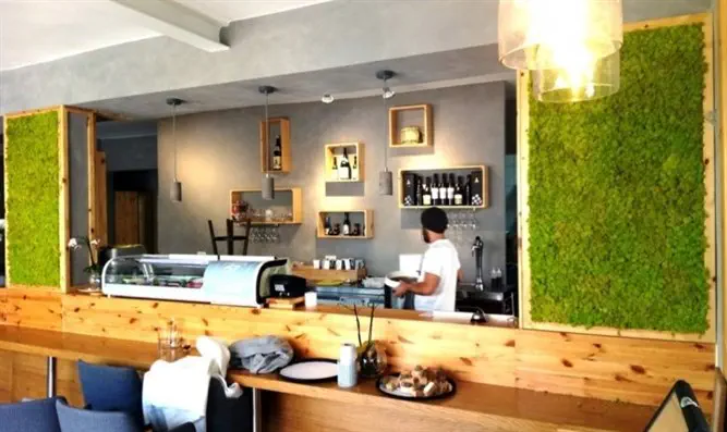 לקשט את הבית: מוצר צמחי DecoMoss