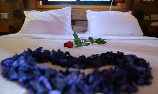 להתייחד עם הטבע      