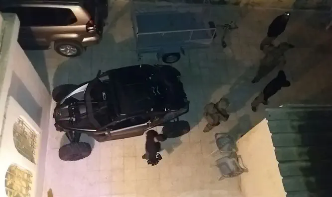 נעצר בדואי שהתפרע בכבישי הדרום