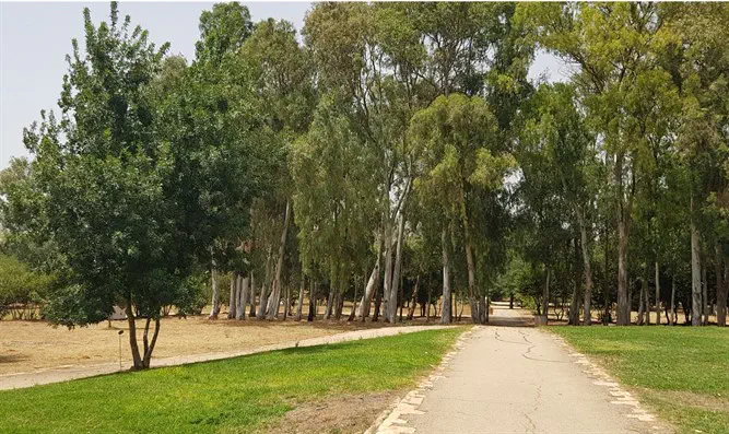 טיול: יער העצים | ערוץ 7