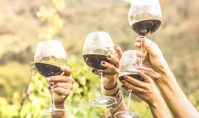 מחווה הולנדית למנצחים: יין מישראל