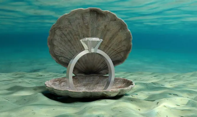 צפו: חתונה מתחת למים