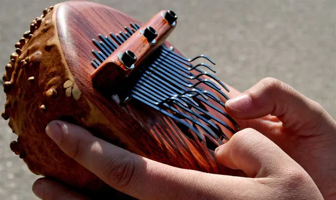 צילום: iStock צפו: כלי המוזיקה שבחיים לא שמעתם