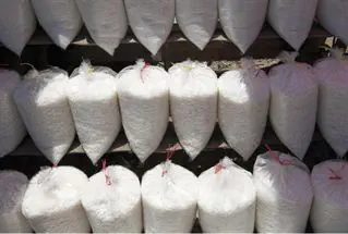 דרישה עולמית: להפחית כמות המלח במזון