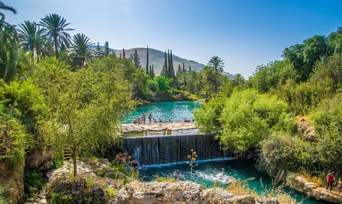 ארגון השמאל זזים נגד ההפרדה במעיינות