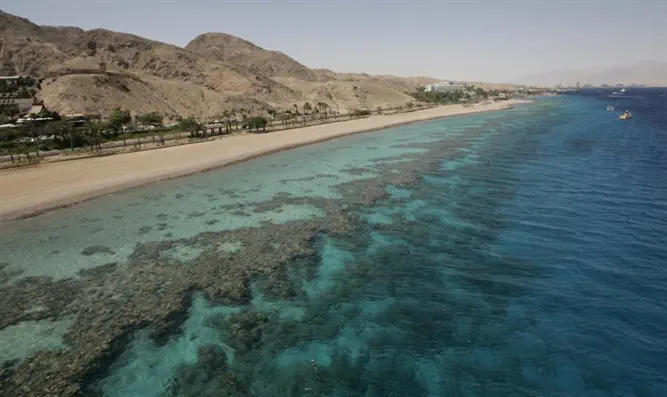 The Parsha and Current Events: When to pass the buck