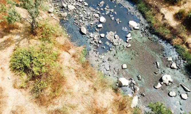 צילום: ירוק עכשיו ערבים מזהמים את הנחל - כבר 13 שנים
