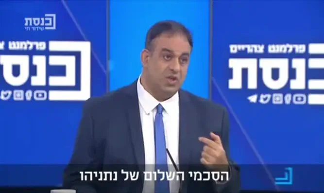 מי הביא את השלום? חברות הנשק 