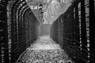 The Kitchener Camp & Kindertransport - Acts of Heroism & Compassion