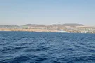 צילום: קובי פינקלר קשה זיווגו של אדם של כקריעת ים סוף