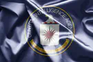 Ex-CIA analyst gets 37 months for leaking top secret intel online