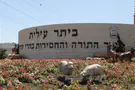 תושב ביתר עילית העלים 12 מיליון שקל
